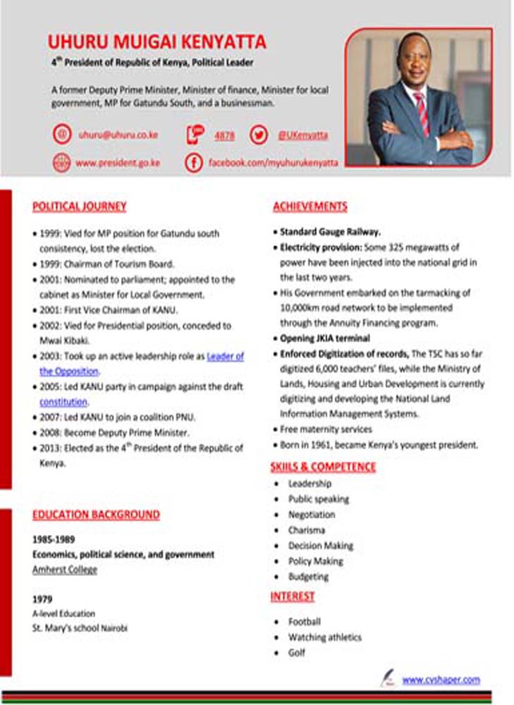 Sample Of Cv For Job Application In Kenya Cv Samples Pdf And Microsoft 