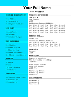 one page cv format and examples in kenya