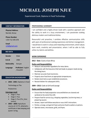 CV Samples PDF and Microsoft word format